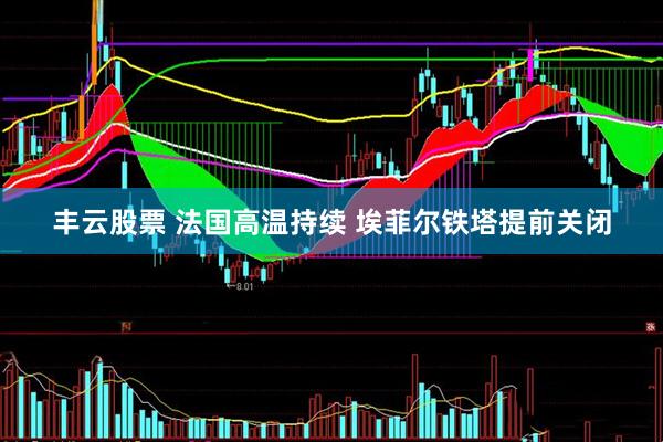 丰云股票 法国高温持续 埃菲尔铁塔提前关闭