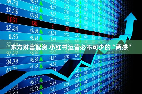 东方财富配资 小红书运营必不可少的“两感”