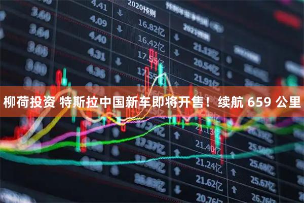 柳荷投资 特斯拉中国新车即将开售！续航 659 公里